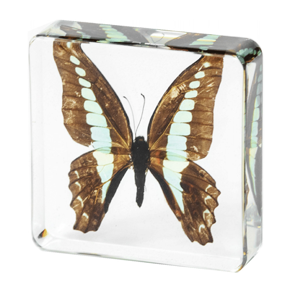 7.5CM 블루 리본 녹색 호랑나비