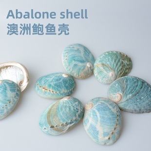 �����{ɫ�U�~��ȼ�����֟��P������Ҿ�ؐ���[�� 7-9cm