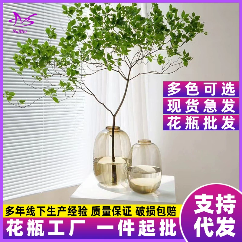 Прозрачная ваза высококачественное украшение в стиле ins высококлассное украшение гостиной пьяное дерево большой живот стеклянная бутылка гидропонное устройство