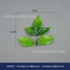 Big peony leaf
