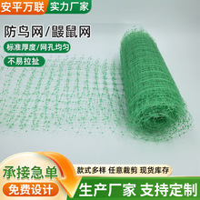 农作物防鸟网 大棚果蔬PP防鸟网 白色鱼塘养殖双向拉伸菱形防鸟网
