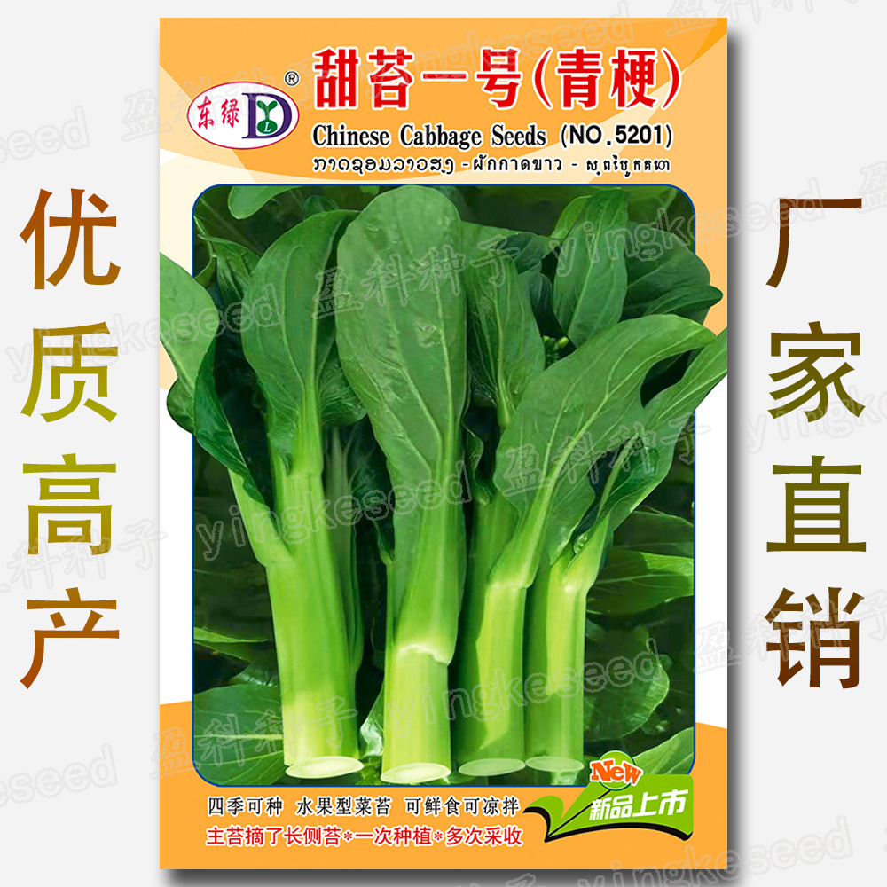 甜苔一号青梗菜苔籽 约1500粒 四季甜脆可鲜食可凉拌水果型白菜薹