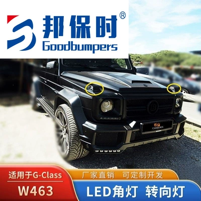 Big Surrounded turn signal lights, G350d