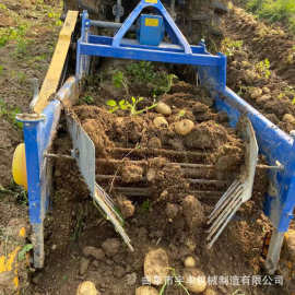 不伤土豆收获机 大蒜收获机价格 生产供应红薯地瓜收获机图片