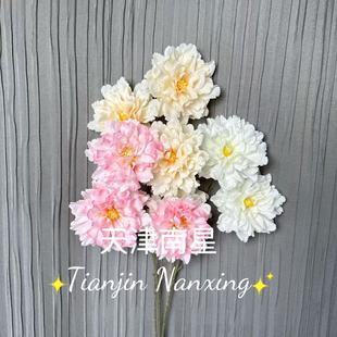 3�^ܽ��ĵ���� ��c���滨��Y�þƵ�ܛ�b�廨���Ļ���ɫϵ���滨