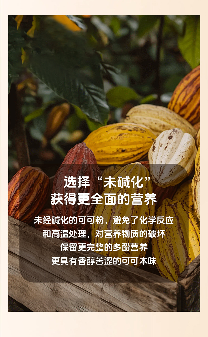 Natural Raw Cacao Powder Unsweetened Keto Drink Mix Baking Chocolate Ingredient 100g preparation