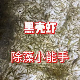 �ښ��r����ݸ��^�p�~���坍��ˮ�r�����w�����r���ײ�9.9