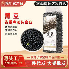 东北农家黑豆绿心生豆子发芽打豆浆专用无染色真空袋装新货生黑豆