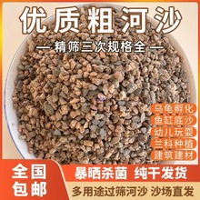 天然粗河沙子花用多肉植物颗粒土铺面石天然黄细砂鱼缸底沙营养土