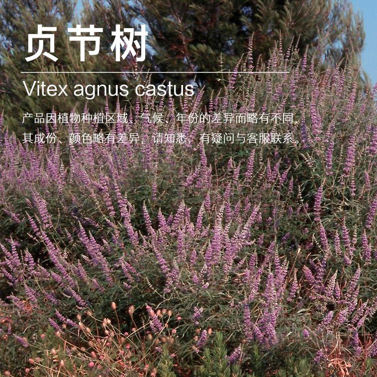 ��Ӧ�������¶ ֲ������¶ ��¶���� ��ӭ��ѯ��ⱸ��������