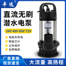 �S�h�oˢֱ����ˮ��48v60v�r�I���늄�܇��ˮ�ô��ʴ���������