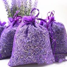 �½�������Ȼ޹�²ݸɻ������ð���M������ζ�����S���־�