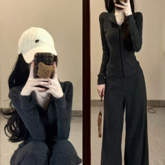 修身条纹外套女款秋季套装2025新款立领灰色拉链开衫高级韩系穿搭