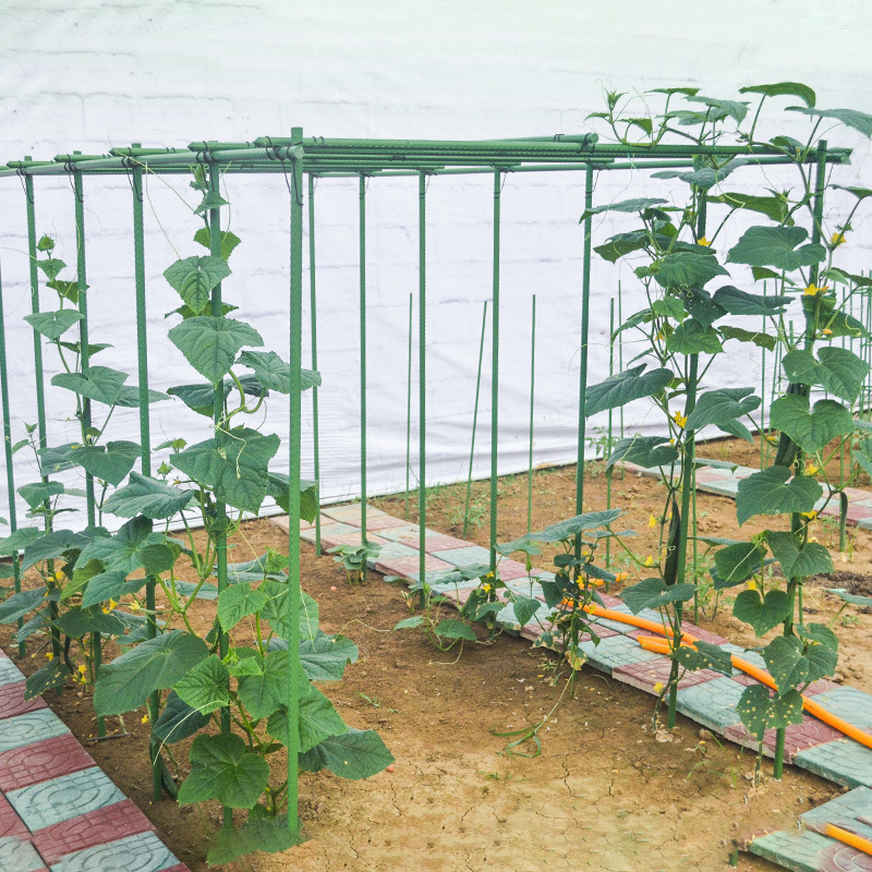 キュウリの豆の角の藤の棚のブドウの棚の四季の豆の花の棚の庭の屋外の支持のメロンの棚の植物の支持の棒|undefined