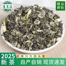 2025新茶茉莉花茶浓香飘雪茶茉莉曲螺茉莉绿茶花茶散装批发茶叶