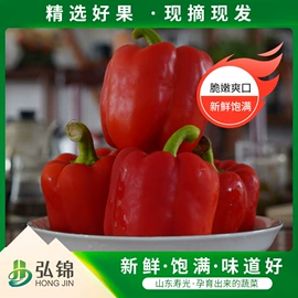辣椒彩椒;瓜果类