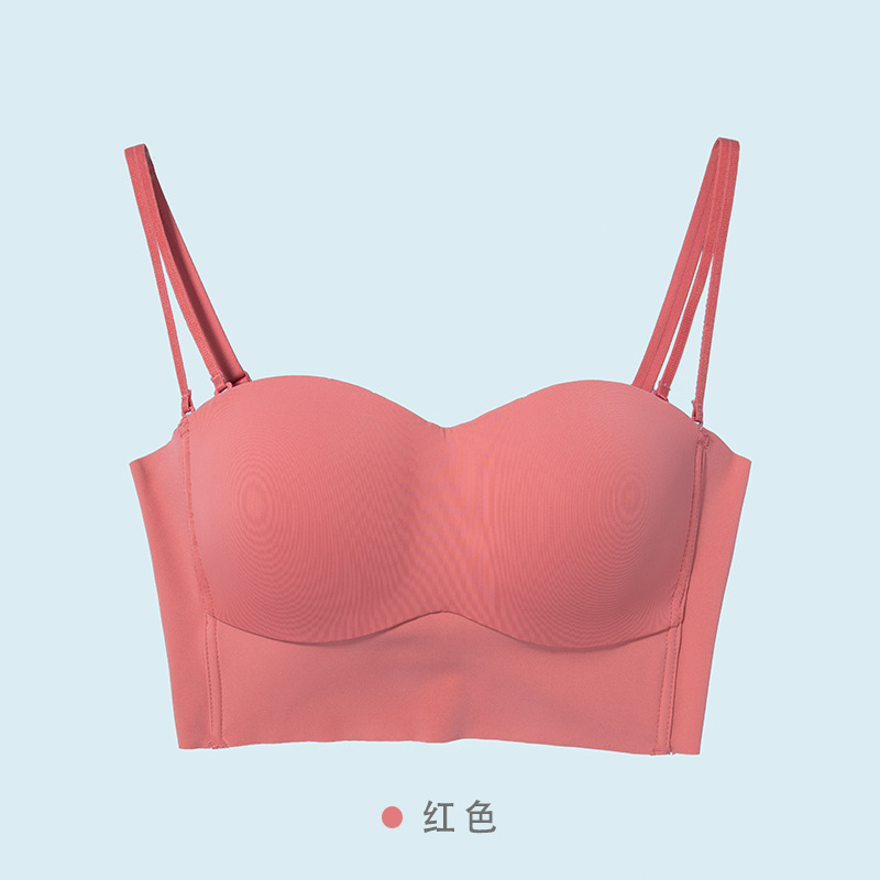 담홍색 (A/B ~ 컵)