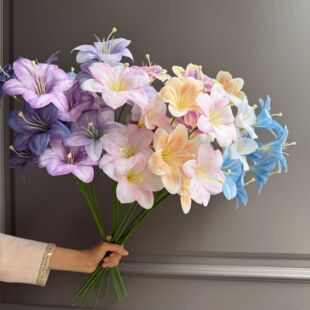3�^С�ٺϷ��滨 ��c��Y�҃��b�·�����T�廨�쾰�Ĕz����