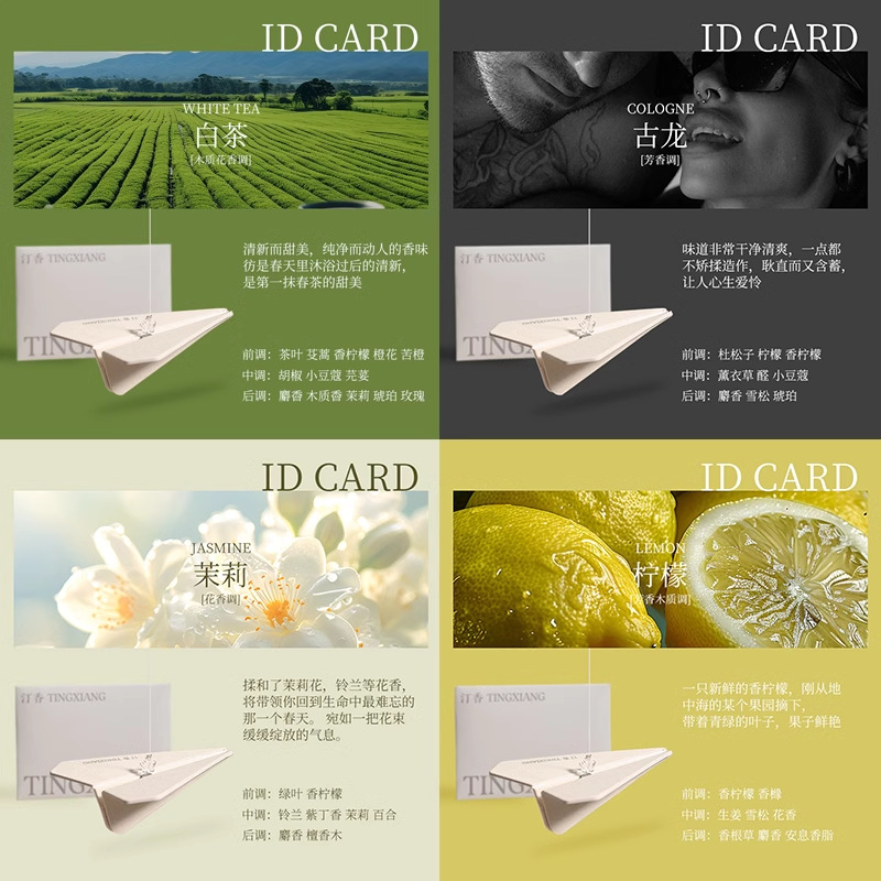 자동차향정-혼합-3개(골판지)-DY