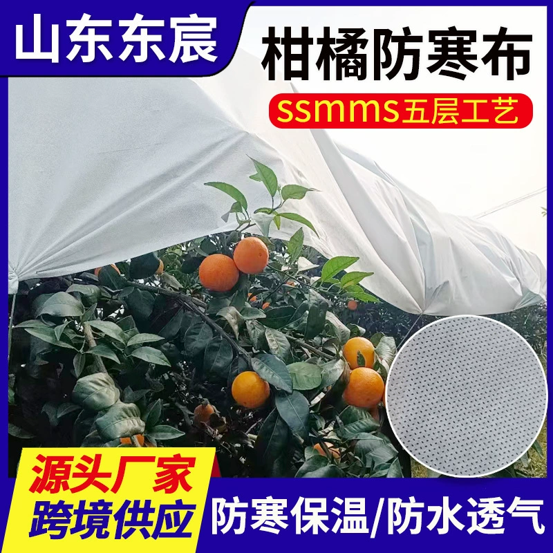 [Китрусовая морозостойкая ткань] Пятислойная утолщенная нетканая ткань с фруктовым деревом, морозостойкая нетканая ткань, сельскохозяйственная и садовая антифризная изоляционная нетканая ткань