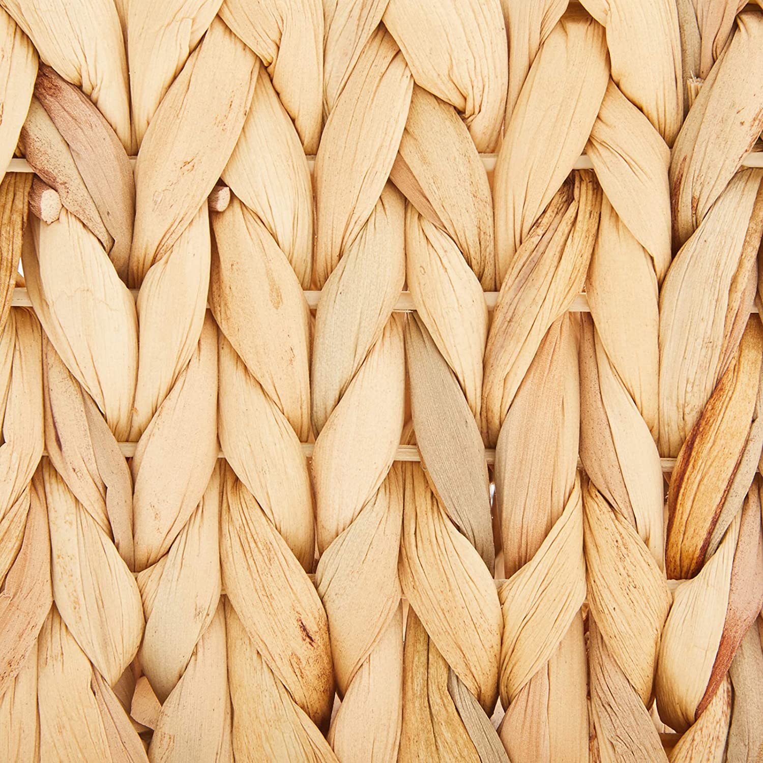 81YdakCylXL._AC_SL1500_