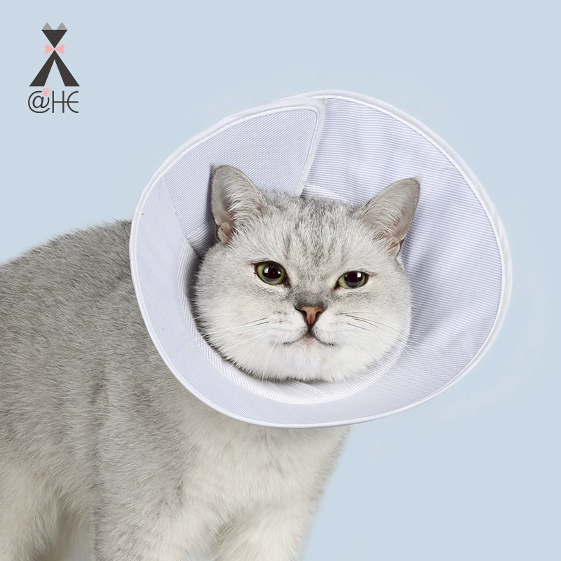 @ HE Elizabeth Circle целое защитное кольцо против царапин, защита от облизывания, мягкая ткань, оберточная Amazon One