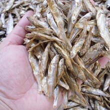 �}��Zʳ�~��؈�Z؈��Z���Z��ˮС�~�ɰ��������ʯ�����������Z