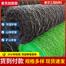 �۱�ϩ�ӽ����ˉ|�ӵ��o�¹������S�����W�|�o���ӽ��