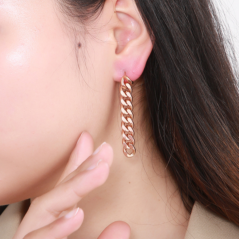 Simple Style Geometric Stainless Steel Dangling Earrings Plating No Inlaid Stainless Steel Earrings display picture 11