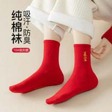 2026��t�m����Ů���ﶬ��Ͳ�m�������´�ϲ�c��tɫ���e�����m��