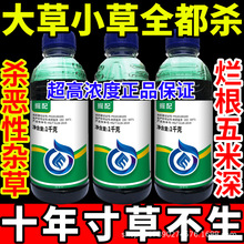 ���С��ȫ����һ�߹�Ҋ�G�����ݿ쾫���@좲ݸ�좴�ȫ�rș�ߝ��