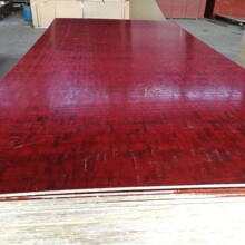 10 mm�����z����r�񸣽����Bģ��S�����l�иߌӽ��Bʩ����