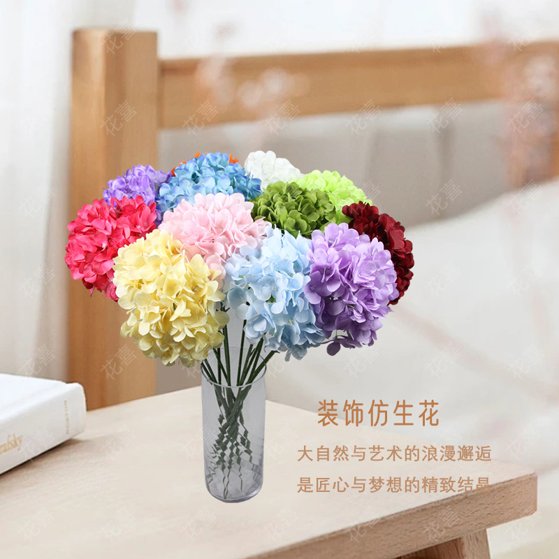 Glipper hydrangea flower Korean large hydrangea flower single…
