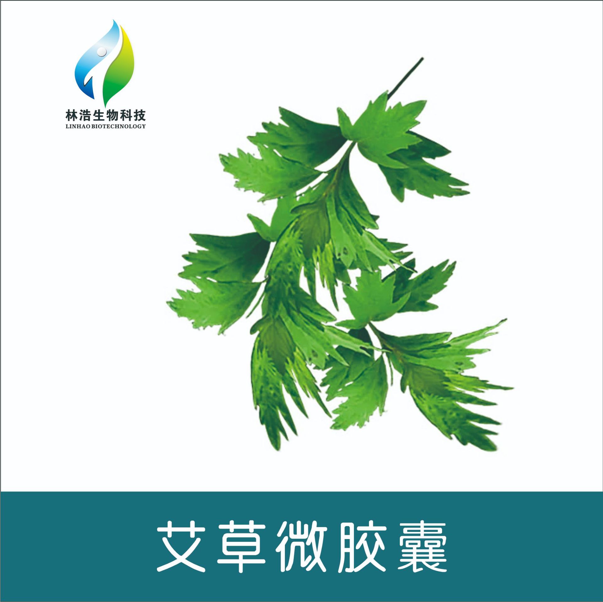 艾草微胶囊香味整理剂 LHSZ002 纺织家纺面料衣物织物芳香整理剂