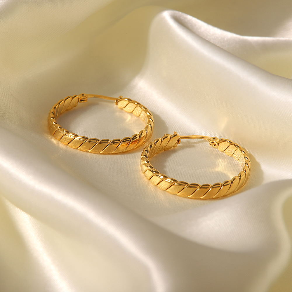 Exaggerated Geometric Stainless Steel Plating Earrings 1 Pair