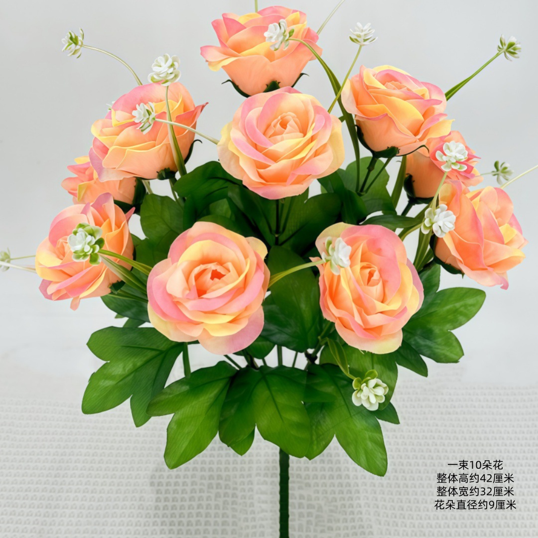 10 cabezas de champán arcoíris