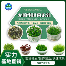 �o����ˮ���쾰�b�ֲ��ˮ���B�~ˮ����Ʒ����ˮ�ݽM��ˮ���ϵ��