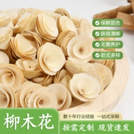 工艺原料;植物工艺品;圣诞花环