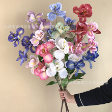 �������3D��ӡ3ͷ�β������Ƶ�ڷŻ��Ų廨�����ٻ��羳����A