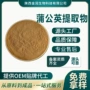 量大水溶定制蒲公英提取物