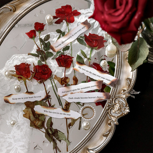 Plants and poetry romantic rose flowers PET stickers literary retro waterproof hand tent decoration collage material stickers