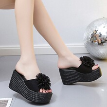 2025�ļ���ЬŮ�¿ɫ�������¸���aŮ��Ь�S�Ҵ��l