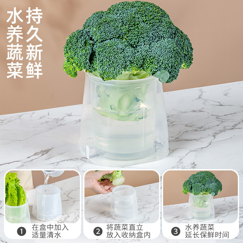 日本进口蔬菜直立保鲜盒可拼接伸缩冰箱侧门大葱萝卜圆形收纳盒|undefined