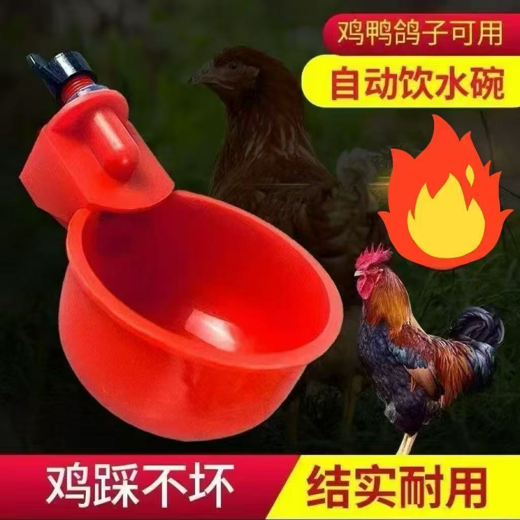 Chicken drinking fountain poultry automatic drinking fountain…