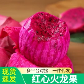 块茎类;其他水果;苹果