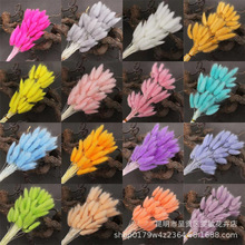 ��β��60֧�ɻ� ��β���滨��������β�Ͳݸɻ��������l�Ĕz����