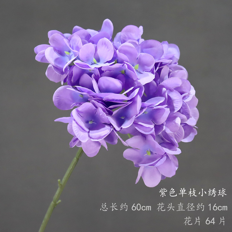 작은 보라색 수국