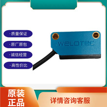 mLWTH-3020-PSWELOTEC̩˱