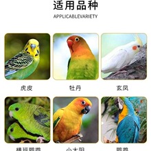 混合黍子鸟食虎皮鹦鹉饲料玄凤谷子牡丹粮食文鸟黄谷子鸟粮食包邮