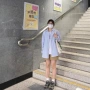 新款长袖条纹小众衬衫